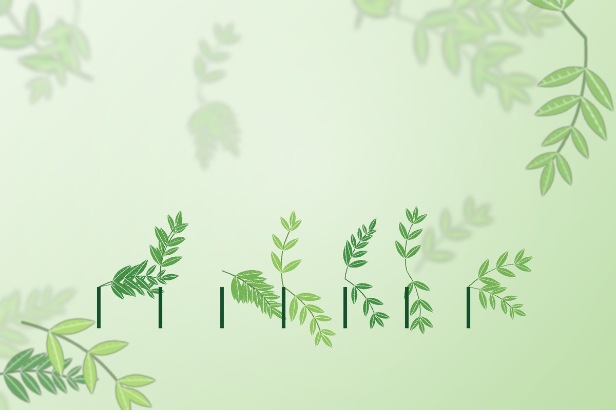 Medicinal herb cultivation used by Garveish Herbaceuticals for Ayurvedic formulations
